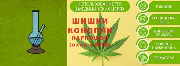 шишки Володарск