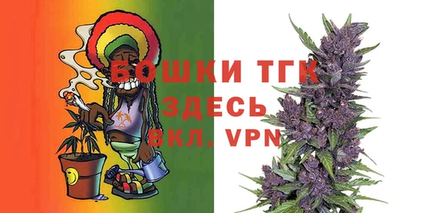 шишки Володарск