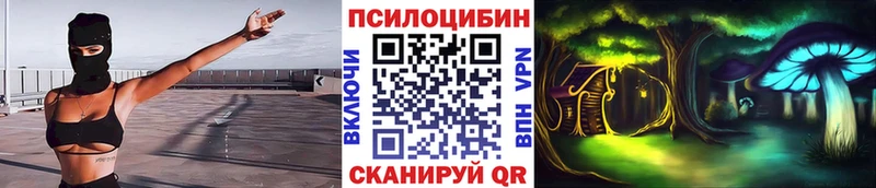 Псилоцибиновые грибы прущие грибы  Купить закладки  Чернушка 